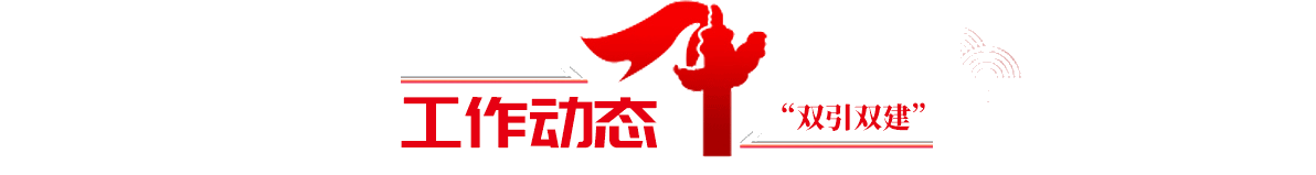 工作动态