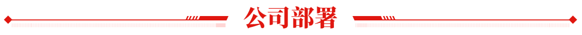公司部署