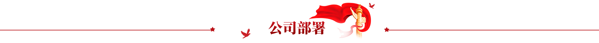 公司部署