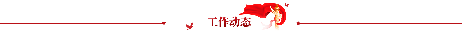 工作动态
