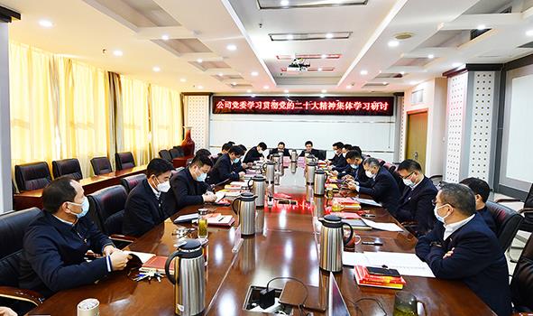 公司党委专题深入学习研讨二十大精神.jpg