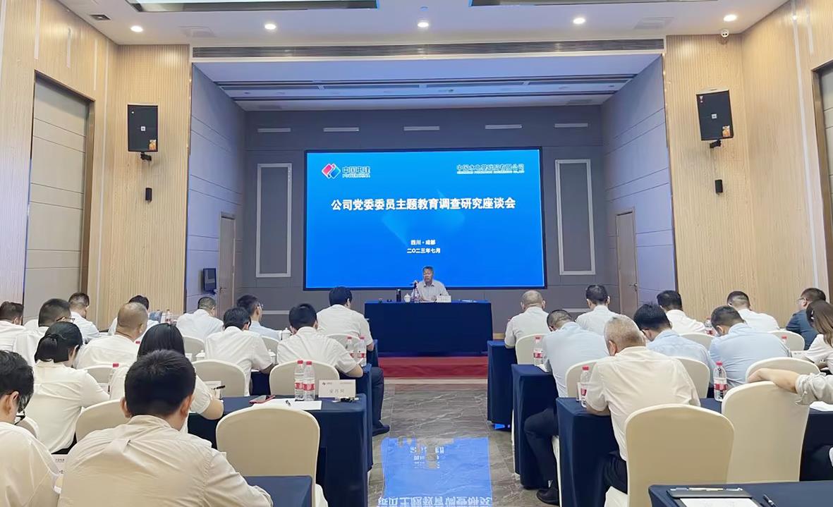 彭善民到西南片区开展主题教育调研并讲授主题教育专题党课 李金珂 供图.jpg