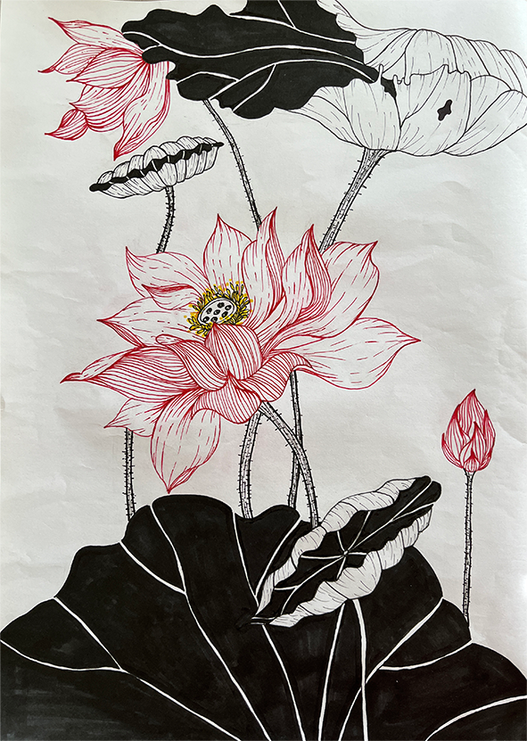 五公司：绘画作品《莲》作者：刘思彤.png